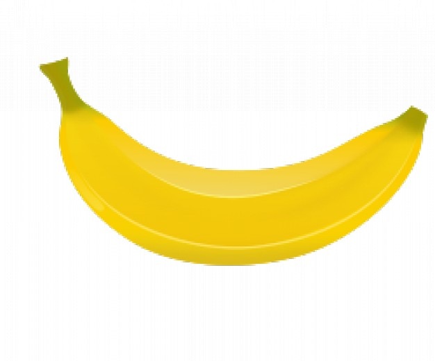 Banana in bright yellow Vector | Free Download
