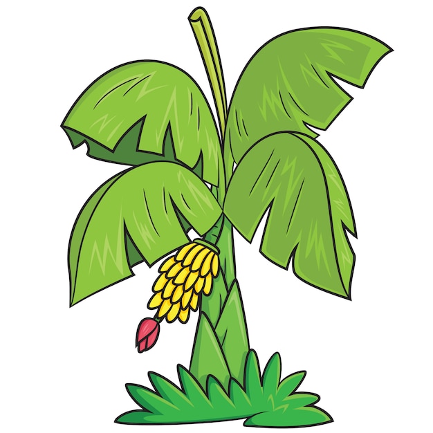 Premium Vector | Banana tree cartoon