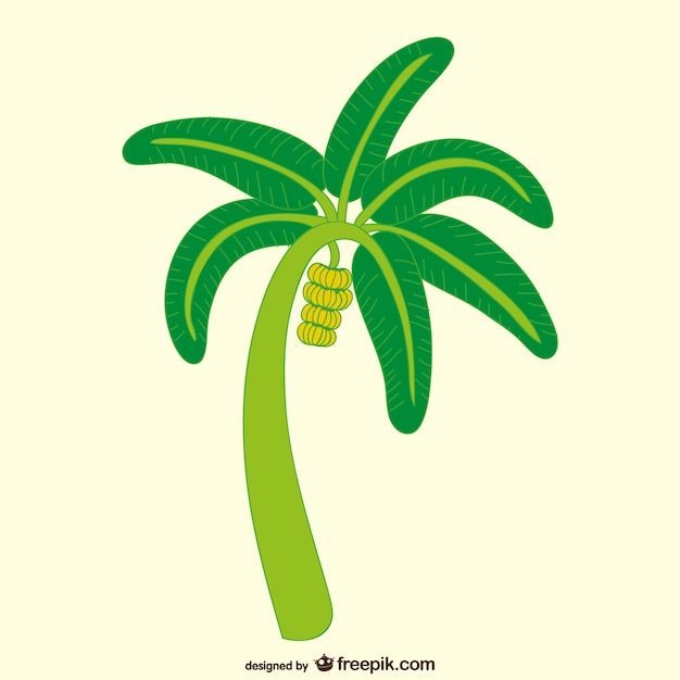Free Vector Banana Tree Illustration
