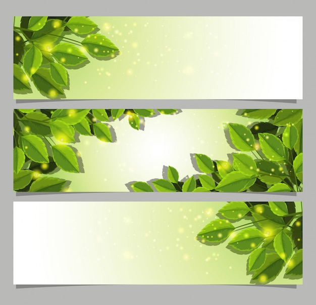 Premium Vector | Banner templates with green leaves