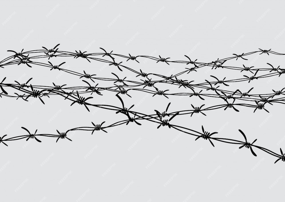 Premium Vector | Barbed wire fencing. fence made of wire with spikes ...