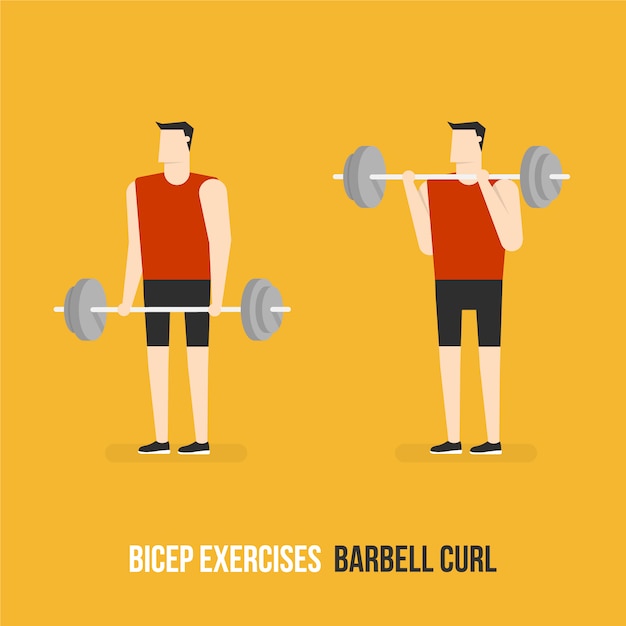 barbell curl