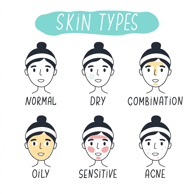 Premium Vector | Basic skin types normal, dry, combination, oily ...