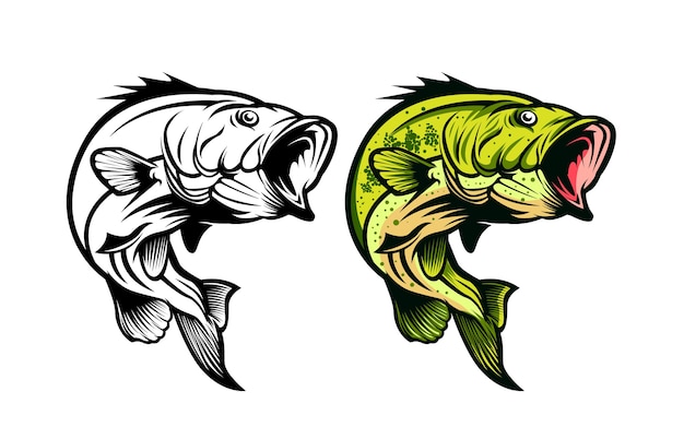 Premium Vector | Bass fish- fishing vector illustration