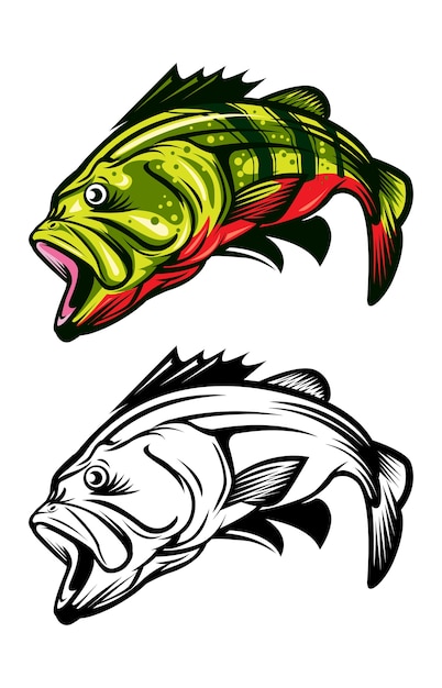 Premium Vector | Bass fish two coloring