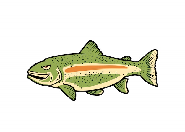 Download Bass fish Vector | Premium Download