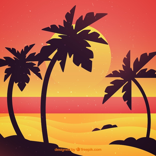 Beach sunset background with palm trees