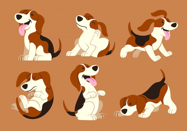 Premium Vector | Beagle dog cartoon set