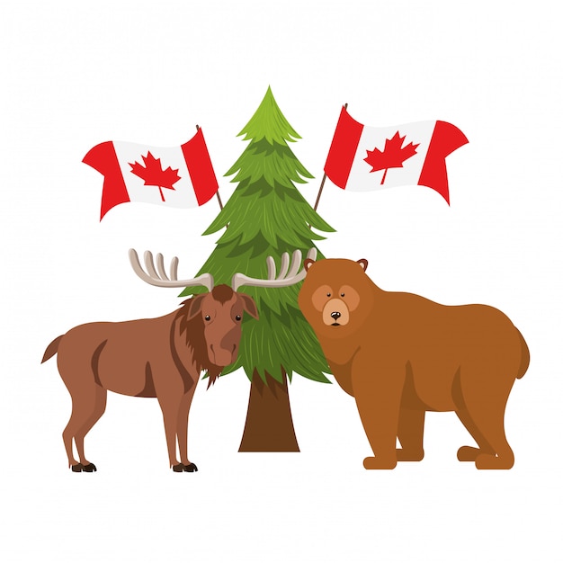 カナダのクマとムースの動物 無料のベクター