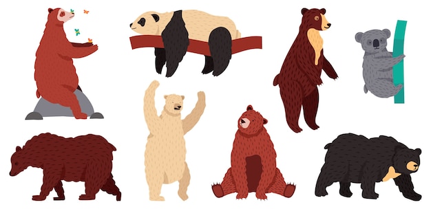 クマの種 野生の哺乳類のキャラクター 毛皮で覆われた森の捕食者 グリズリーパンダのコアラ ホッキョクグマのイラストセット コアラとクマ パンダと グリズリー 北極の白い動物 プレミアムベクター