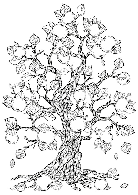 美しいリンゴの木の描画ぬりえ プレミアムベクター