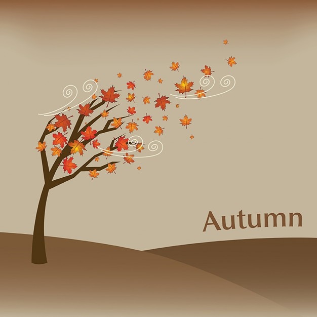 Beautiful autumn scene