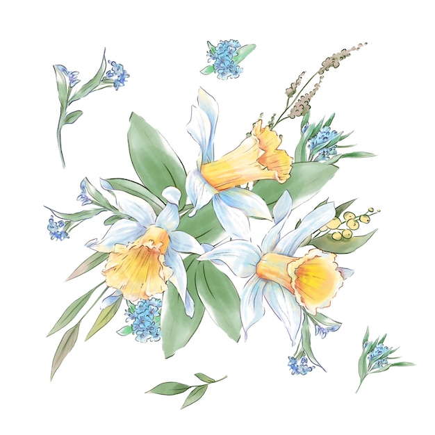 36+ Drawing Watercolor Daffodils PNG