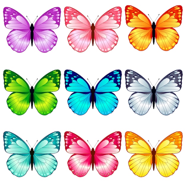 美しい蝶のコレクション 9色 プレミアムベクター