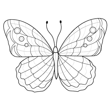 Premium Vector | Beautiful butterfly. coloring book antistress for ...