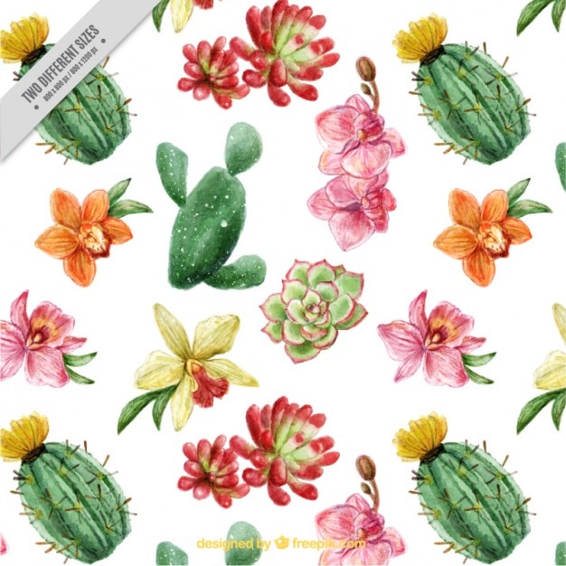 Download Beautiful cacti and flowers background with watercolor ...
