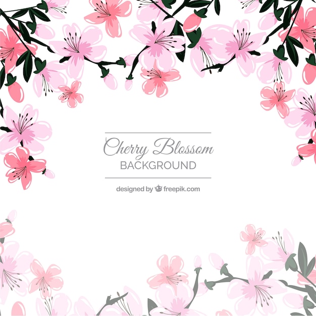 Free Vector Beautiful Cherry Blossom Background