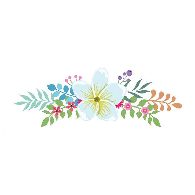 Beautiful decoration floral Vector | Premium Download