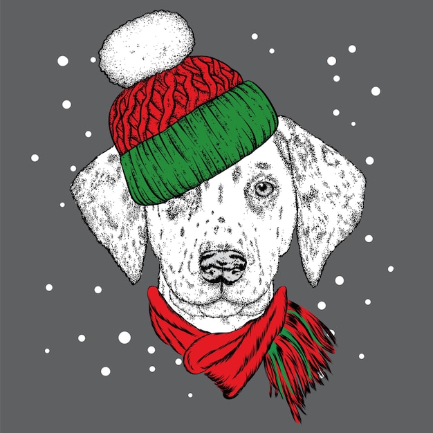 Premium Vector | Beautiful dog in a winter hat.