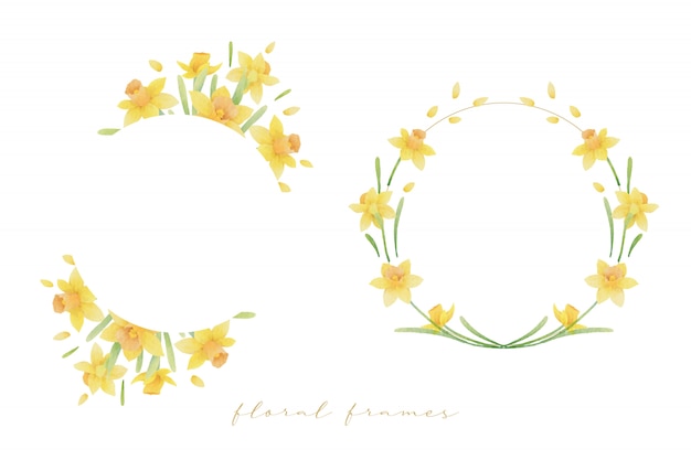 水彩の水仙の花と美しい花のフレーム プレミアムベクター