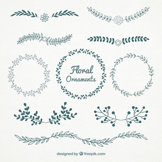 Download Beautiful floral ornaments Vector | Free Download