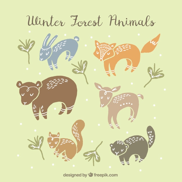 Free Vector | Beautiful hand-drawn forest animals
