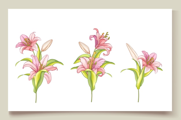 美しい手描きのユリの花のイラスト プレミアムベクター