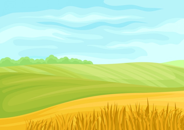 Beautiful landscape of green meadows and yellow fields. | Premium Vector