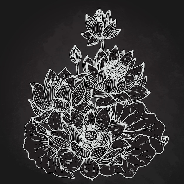 蓮の花の美しいモノクロ花の花束 プレミアムベクター