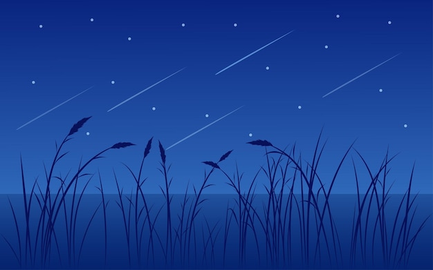 草と流れ星の美しい夜のイラスト プレミアムベクター