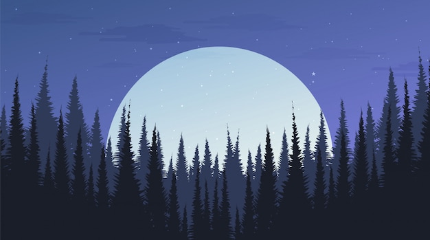 Premium Vector Beautiful Night Pine Forest With The Moon Landscape Background Evening Concept