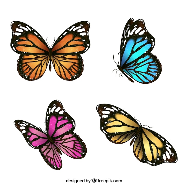 Download Beautiful pack of four colored butterflies Vector | Free ...