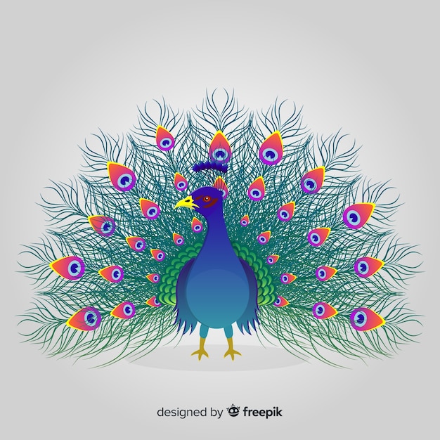 Beautiful Peacock Design Free Vector 4054