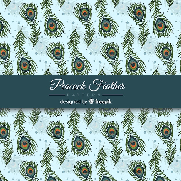 Download Beautiful peacock feather pattern design Vector | Free ...