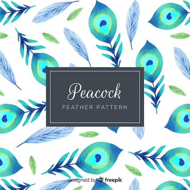 Beautiful peacock feather pattern design Free Vector