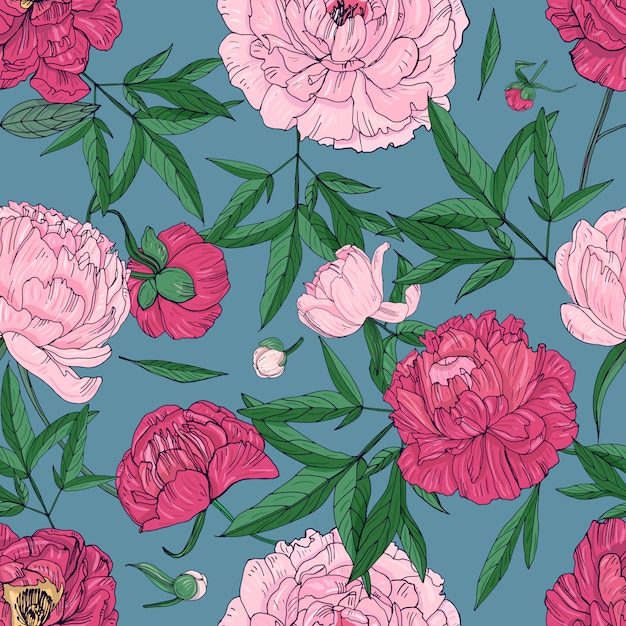 Premium Vector | Beautiful peonies seamless pattern. hand drawn blossom ...