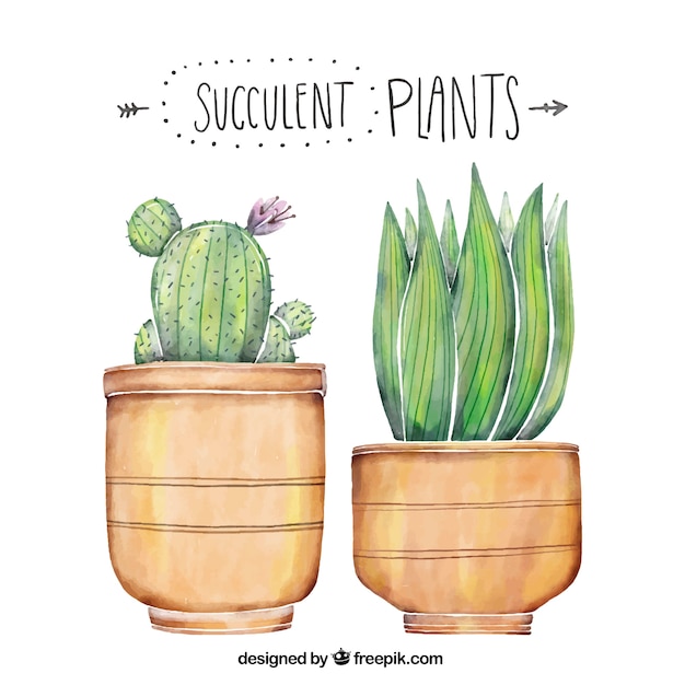 Premium Vector Beautiful Plants Painted With Watercolor