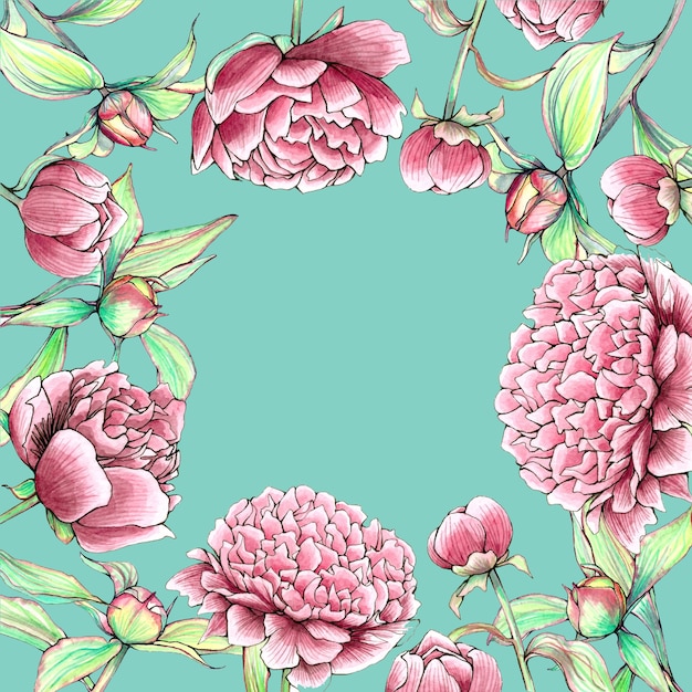 Download Beautiful rectangle peonies flowers border on mint ...