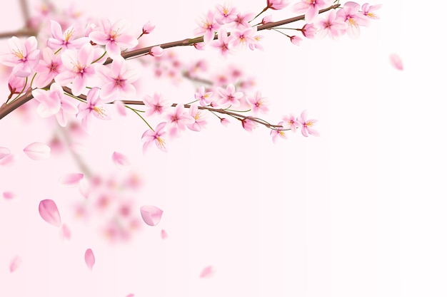 花びらが落ちるピンクの桜の花の美しいロマンチックなイラスト プレミアムベクター
