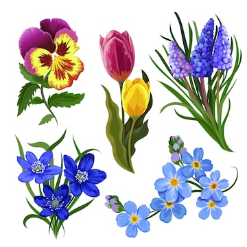 Free Vector | Beautiful spring flower collection
