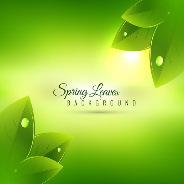 Beautiful spring season background