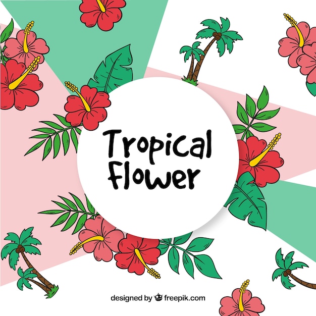Beautiful tropical flower background