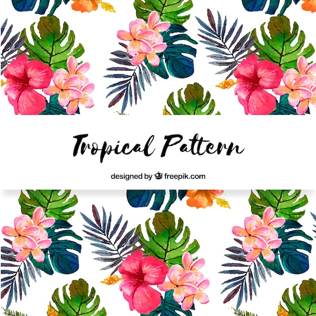 Beautiful tropical flower pattern