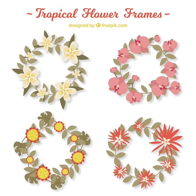 Beautiful tropical flowers frames