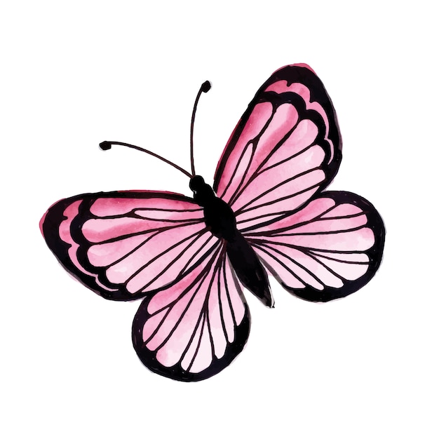 Beautiful watercolor butterfly | Premium Vector