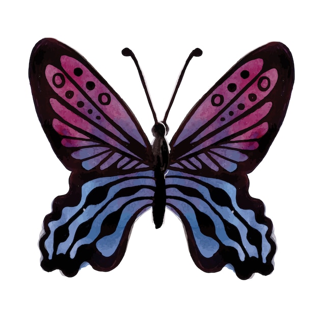 Download Beautiful watercolor butterfly | Free Vector
