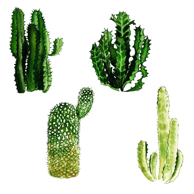 Download Beautiful watercolor cactus collection | Premium Vector