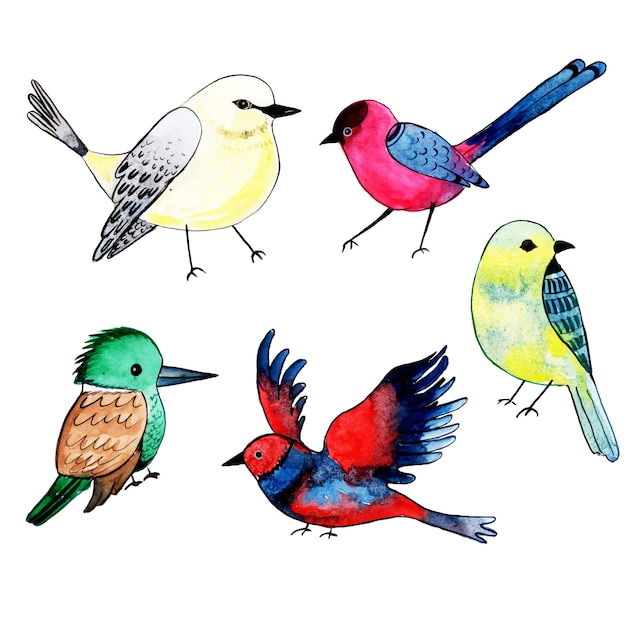 Premium Vector | Beautiful watercolor exotic bird collection