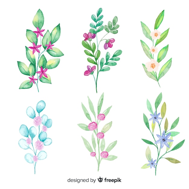 Beautiful watercolor floral branch collection Vector | Free Download