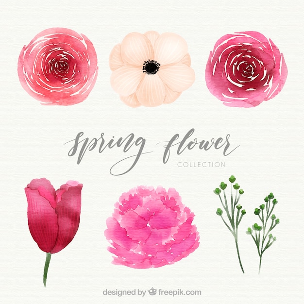 Beautiful watercolor spring flower pack